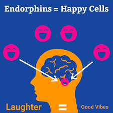 Endorphins (Edp) are a group of neuropeptides produced by the central nervous system and the pituitary gland that function as natural painkillers and mood enhancers. They are often referred to as "feel-good" hormones due to their ability to promote feelings of pleasure and well-being.