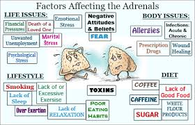 Adrenal fatigue (AF) is a term used to describe a collection of nonspecific symptoms that are believed to arise from chronic stress and the subsequent overactivity of the adrenal glands. The adrenal glands, located on top of each kidney, produce hormones such as cortisol, adrenaline, and norepinephrine, which are crucial for the body's response to stress.