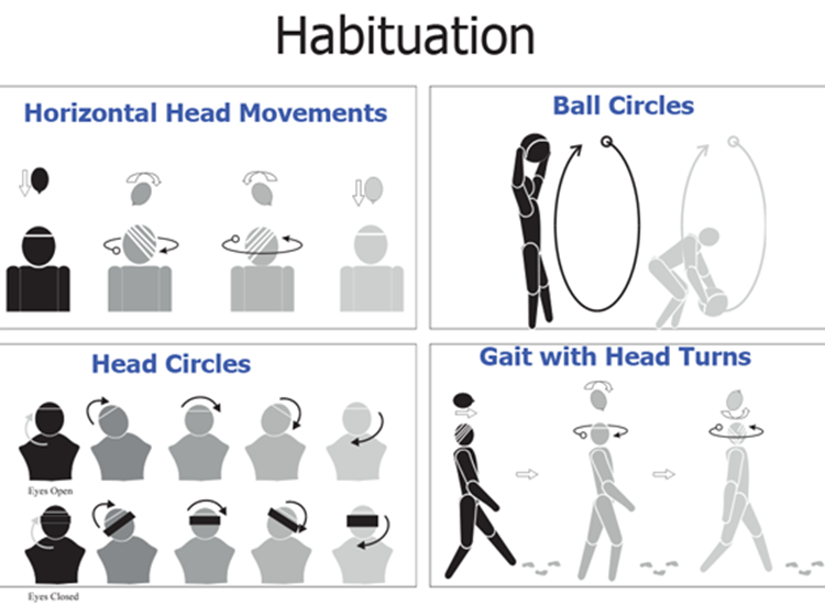 Vestibular rehabilitation therapy (VRT) is a specialized form of physiotherapy designed to treat and improve symptoms caused by vestibular disorders. These disorders can lead to issues such as dizziness, vertigo, imbalance, and visual disturbances. VRT employs a combination of manual head maneuvers and a progressive exercise program aimed at reducing these symptoms and enhancing overall balance and stability.