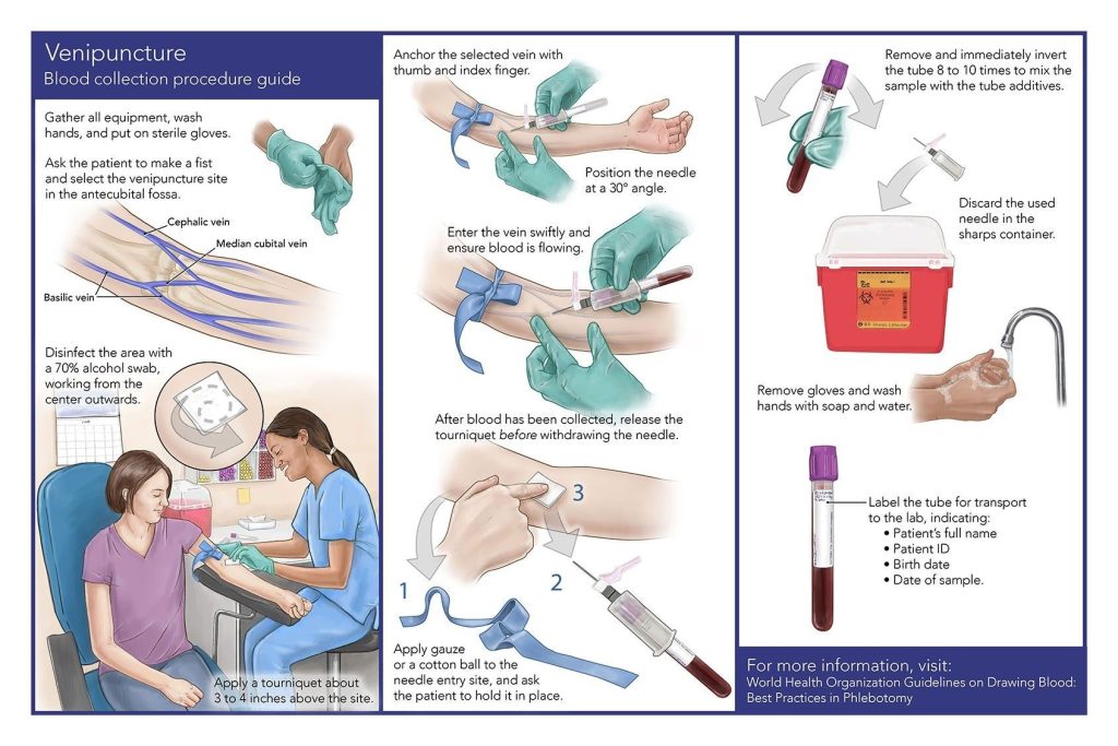 This image has an empty alt attribute; its file name is Phlebotomy-Procedure-Infographic-1.jpg