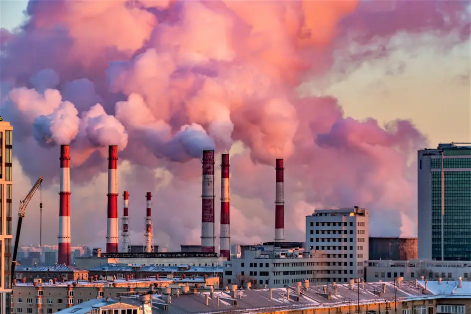 Air pollution is a significant environmental health risk, linked to a wide range of diseases. It affects almost every organ in the body, leading to systemic inflammation and increased susceptibility to various health conditions.