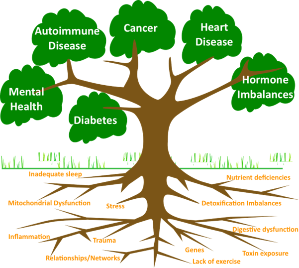 Root Causes of Chronic Diseases are the fundamental dysfunctions or risk factors that lead to the onset and progression of long-lasting health conditions. Addressing these root causes involves identifying why a specific individual develops a particular illness and targeting the underlying issues rather than merely managing symptoms