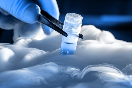 Cryopreservation is a vital process in cellular therapy and stem cell research that involves cooling cells to sub-zero temperatures to halt metabolic activity and preserve cell viability for future use. This technique is essential for maintaining the integrity of cell populations, particularly in regenerative medicine, where the timely availability of high-quality cells is critical for therapeutic applications.