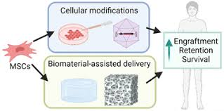 Cellular Therapy and Stem Cells, has emerged as a promising approach for treating various organ-related conditions. However, one of the major challenges in this field is ensuring the retention and survival of transplanted cells. This is crucial for maximizing therapeutic outcomes and tissue repair.