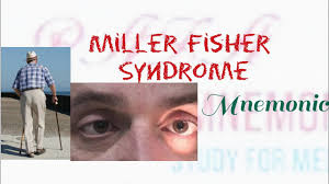 Miller Fisher syndrome (MFS) is a rare neurological disorder characterized by a triad of symptoms: ophthalmoplegia (weakness of the eye muscles), ataxia (poor coordination), and areflexia (loss of reflexes). It is considered a variant of Guillain-Barré syndrome (GBS) and typically follows a viral or gastrointestinal infection.