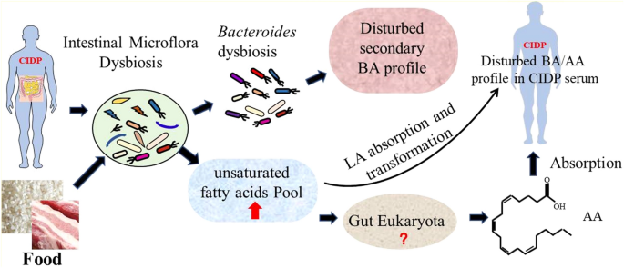 Cellular Therapy and Stem Cells for Chronic Inflammatory Demyelinating Polyneuropathy (CIDP) : 
Complex Interplay of Genetics and Environmental Factors in CIDP Development