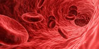 Microvascular thrombosis refers to the formation of blood clots in small blood vessels (arterioles, capillaries, and venules), leading to impaired blood flow and tissue ischemia. Unlike large-vessel thrombosis, microvascular clots often occur due to endothelial dysfunction, inflammation, or systemic conditions and can affect multiple organs. This condition is central to several life-threatening disorders, including thrombotic microangiopathies (TMAs) and sepsis-associated complications.