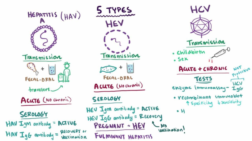 Hepatitis is a general term referring to inflammation of the liver24. Viral hepatitis is liver inflammation caused by a viral infection3. The most common types of viral hepatitis are hepatitis A, B, and C18. Less common types include hepatitis D and E23. Hepatitis can be acute (short-term) or chronic (long-term)12.