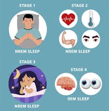 REM sleep (Rapid Eye Movement Sleep) is a unique and essential stage of the sleep cycle characterized by rapid, random eye movements, vivid dreaming, and heightened brain activity that closely resembles wakefulness1245. It typically accounts for about 20–25% of an adult’s total sleep time, with most REM sleep occurring in the second half of the night134.