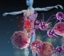 Systemic diseases (SDs) are conditions that affect multiple organs, tissues, or the body as a whole, rather than being confined to a single organ or localized area. This distinguishes them from localized diseases, which impact only one part of the body (such as a skin ulcer or a single joint)265.