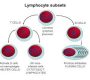Lymphocyte Subsets (LSS) are a key type of white blood cell involved in immune responses. They are broadly classified into three main subsets based on their surface markers and functions: