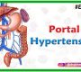 Portal Hypertension (PoTaH) is an abnormal increase in blood pressure within the portal venous system, which includes the portal vein and its branches that carry blood from the stomach, intestines, spleen, and pancreas to the liver. Normally, blood flows smoothly through the liver, but when this flow is obstructed, pressure builds up in the portal vein system.