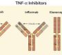 Tumor Necrosis Factor (TNF) inhibitors are a class of biologic medications that block the inflammatory cytokine TNF-α, which plays a central role in promoting inflammation and tissue damage in autoimmune and inflammatory conditions. By inhibiting TNF-α, these drugs reduce inflammation, pain, and disease progression123.