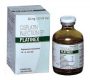 Cisplatin (CDDP) is a platinum-based chemotherapeutic drug, first approved for clinical use in the 1970s, and remains one of the most widely utilized agents for treating solid tumors such as testicular, ovarian, bladder, cervical, lung, and head and neck cancers.