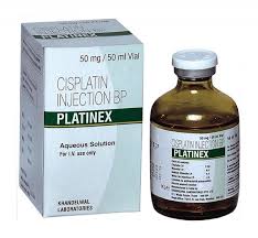 Cisplatin (CDDP) is a platinum-based chemotherapeutic drug, first approved for clinical use in the 1970s, and remains one of the most widely utilized agents for treating solid tumors such as testicular, ovarian, bladder, cervical, lung, and head and neck cancers.
