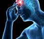Neurotoxicity (NTX) refers to damage or adverse effects on the nervous system—comprising the brain, spinal cord, and peripheral nerves