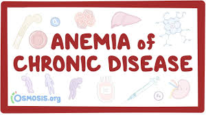 Anemia of Chronic Disease (ACD), also known as anemia of inflammation, is a type of anemia that develops in people with chronic medical conditions that cause prolonged inflammation.