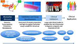 Oxidative markers refer to molecules in the body that indicate the presence of oxidative stress, a condition characterized by an imbalance between reactive oxygen species (ROS) and the body’s antioxidant defenses. These markers are essential for detecting oxidative damage to lipids, proteins, and nucleic acids, reflecting cellular stress and dysfunction123.