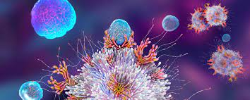 Chimeric Antigen Receptor Natural Killer (CAR-NK) cells are genetically engineered natural killer (NK) cells that have been modified to express chimeric antigen receptors (CARs).
