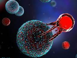 Adoptive Cell Therapy (ACT) is a personalized immunotherapy approach used mainly in cancer treatment.
