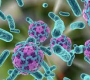 Immune evasion is a set of strategies used by cancer cells to avoid detection and destruction by the body's immune system.