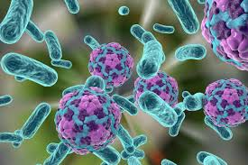 Immune evasion is a set of strategies used by cancer cells to avoid detection and destruction by the body's immune system.